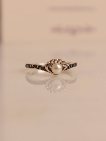 Seashell